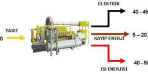 Kojenerasyon – Trijenerasyon